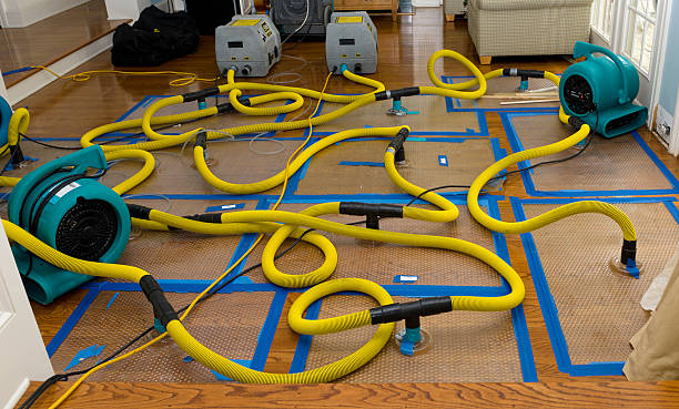 Professional Sewage Cleanup technician working in Canyon Lake, TX